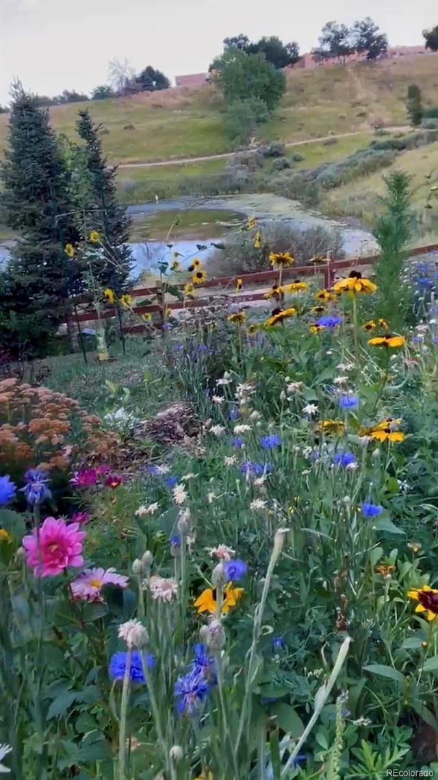 view of nature featuring a rural view