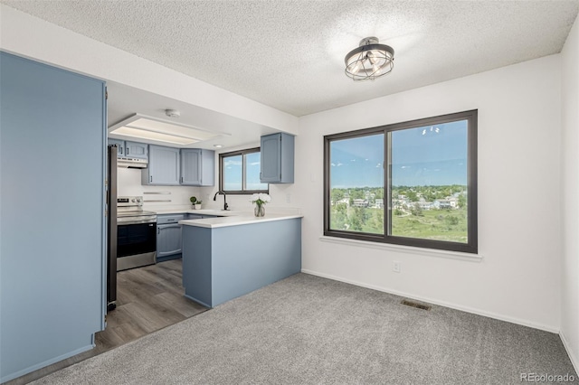 551 Snowy Owl Pl, Highlands Ranch, CO 80126 - kitchen with electric range, a peninsula, dark carpet, blue cabinetry, and a textured ceiling