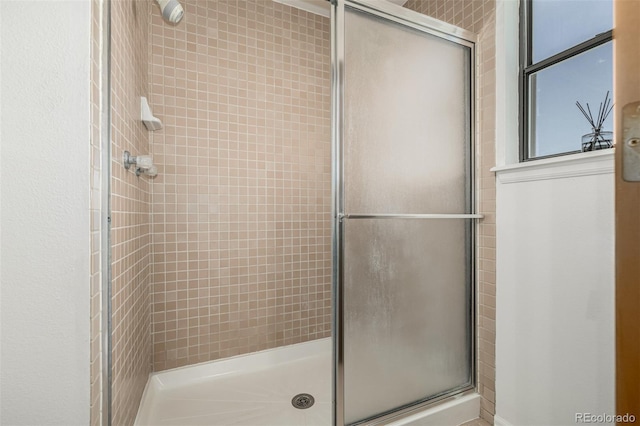 551 Snowy Owl Pl, Highlands Ranch, CO 80126 - full bath with a stall shower