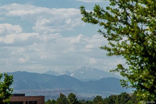 551 Snowy Owl Pl, Highlands Ranch, CO 80126 - mountain view