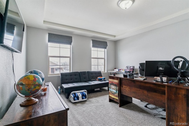 carpeted office with a tray ceiling