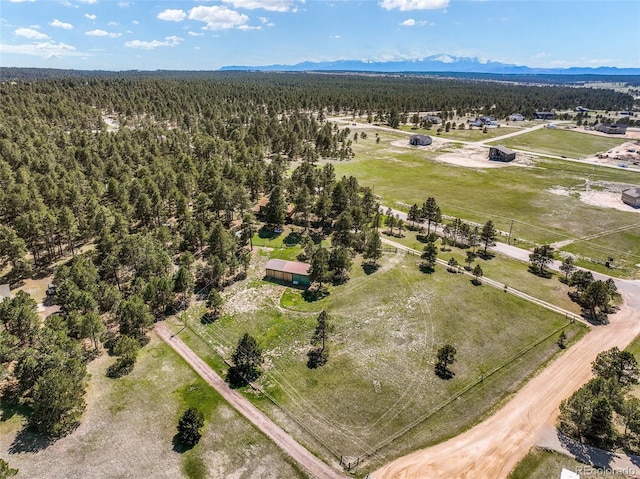 bird's eye view of a forest