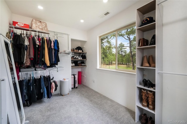 walk in closet featuring carpet