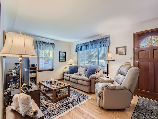 living room featuring hardwood / wood-style floors and a wealth of natural light