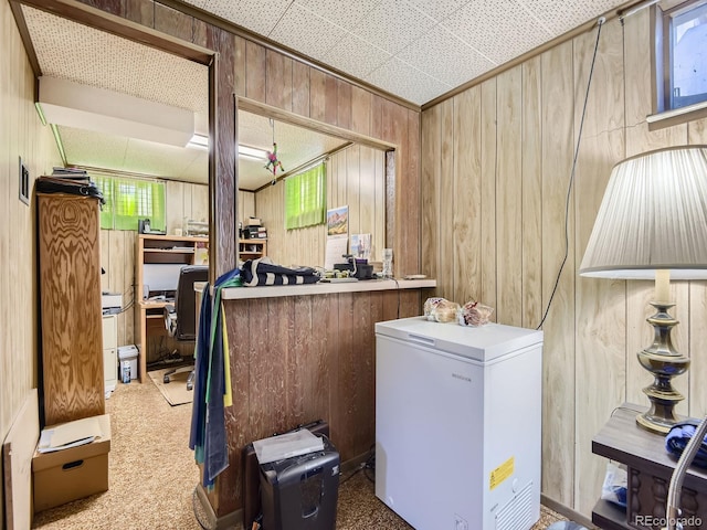 washroom with carpet floors and wood walls