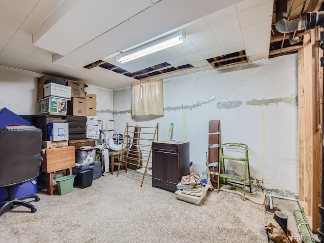 basement with carpet