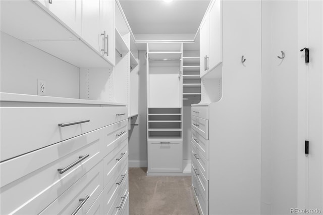 10113 Bellwether Ln, Lone Tree, CO 80124 - spacious closet with light carpet