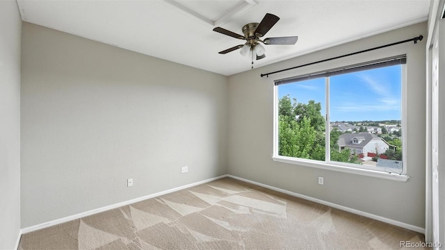 8295 Cedar Chase Dr, Fountain, CO 80817 - photo 29