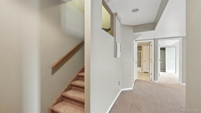 8295 Cedar Chase Dr, Fountain, CO 80817 - photo 36
