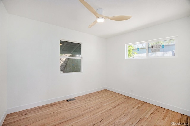 1151 Xanthia St, Denver, CO 80220 - photo 9