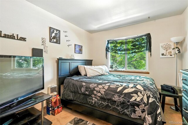 2120-2126 3rd St SW, Loveland, CO 80537 - photo 42
