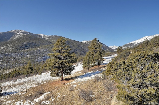 Listing photo 2 for Mountaintop, Buena Vista CO 81211