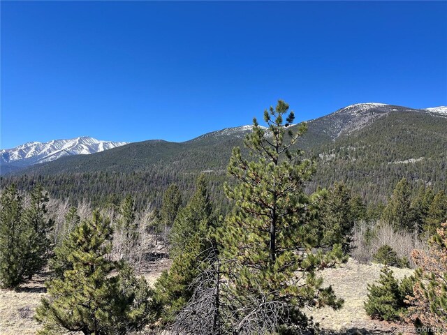 Mountaintop, Buena Vista, CO 81211
