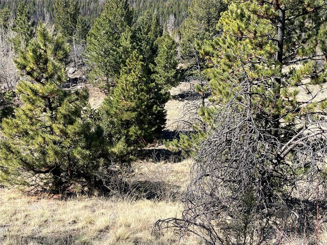 Mountaintop, Buena Vista, CO 81211