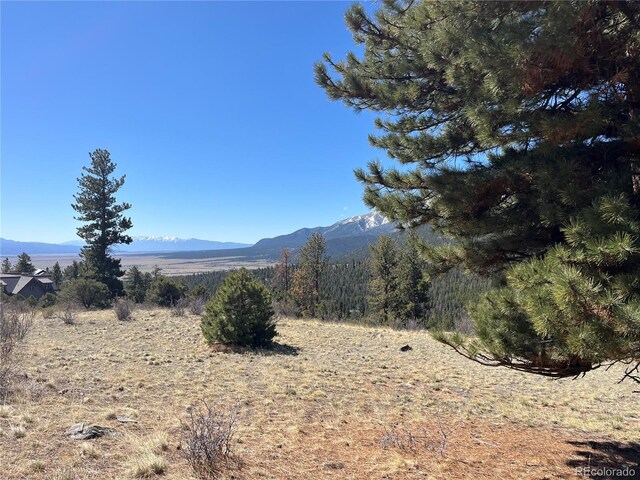 Mountaintop, Buena Vista, CO 81211
