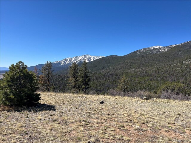 Mountaintop, Buena Vista, CO 81211