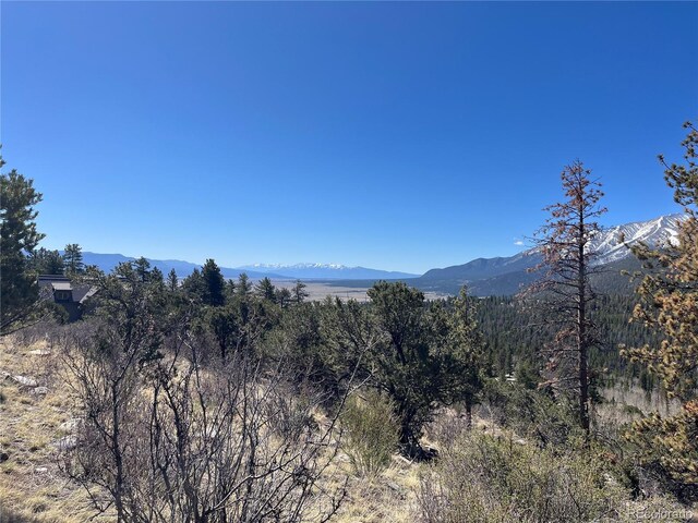 Mountaintop, Buena Vista, CO 81211