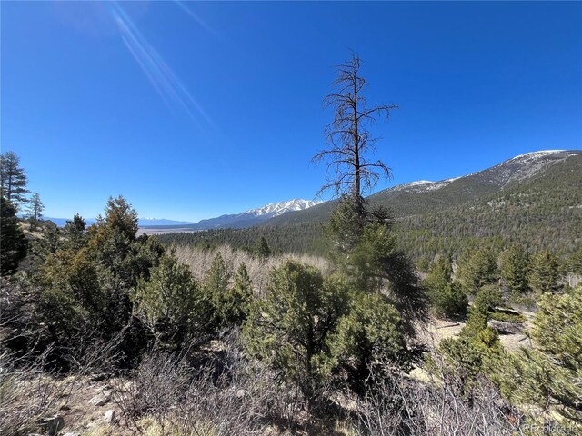 Mountaintop, Buena Vista, CO 81211