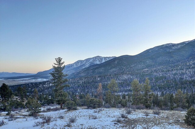 Mountaintop, Buena Vista, CO 81211