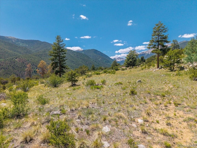 Mountaintop, Buena Vista, CO 81211