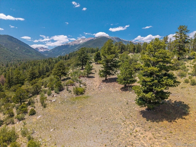 Mountaintop, Buena Vista, CO 81211