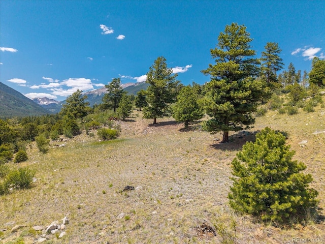 Mountaintop, Buena Vista, CO 81211