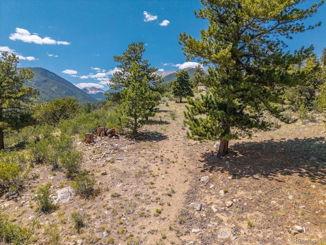 Mountaintop, Buena Vista, CO 81211
