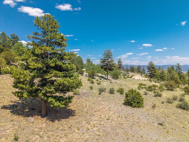 Mountaintop, Buena Vista, CO 81211
