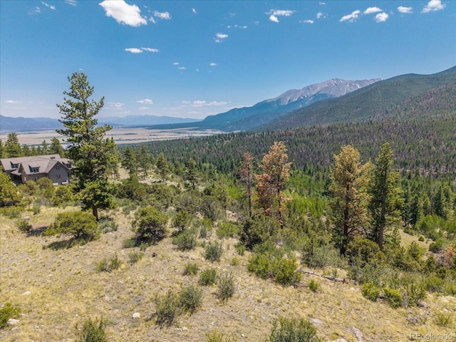 Mountaintop, Buena Vista, CO 81211