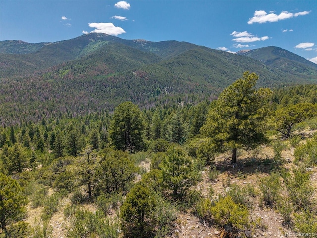 Mountaintop, Buena Vista, CO 81211