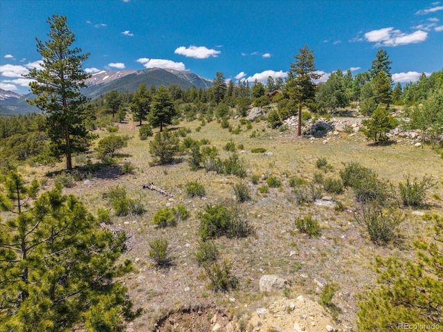 Mountaintop, Buena Vista, CO 81211