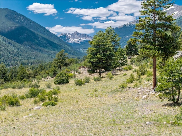 Mountaintop, Buena Vista, CO 81211