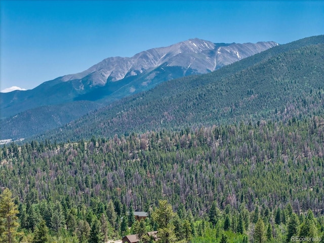 Mountaintop, Buena Vista, CO 81211