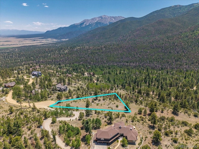 Mountaintop, Buena Vista, CO 81211