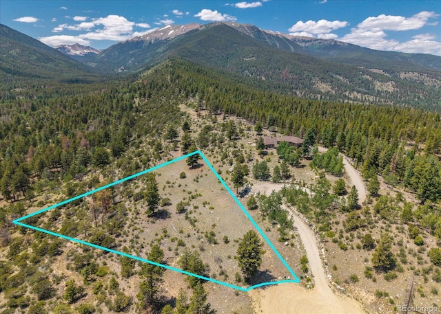 Mountaintop, Buena Vista, CO 81211