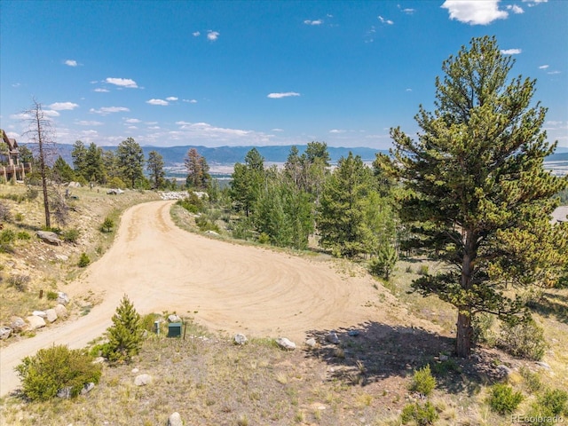 Mountaintop, Buena Vista, CO 81211