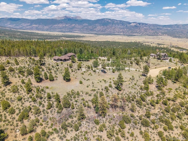 Mountaintop, Buena Vista, CO 81211