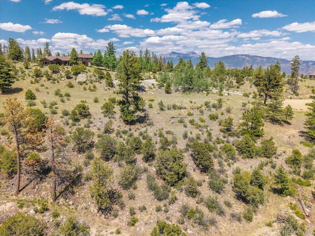 Mountaintop, Buena Vista, CO 81211