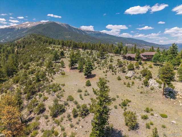 Mountaintop, Buena Vista, CO 81211