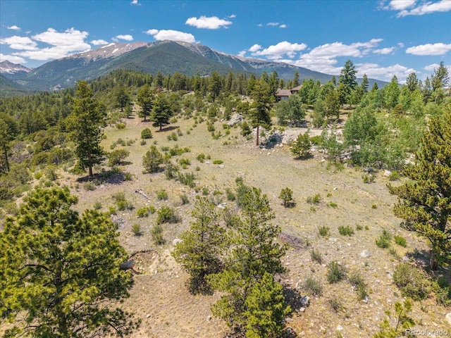 Mountaintop, Buena Vista, CO 81211