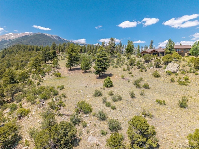 Mountaintop, Buena Vista, CO 81211