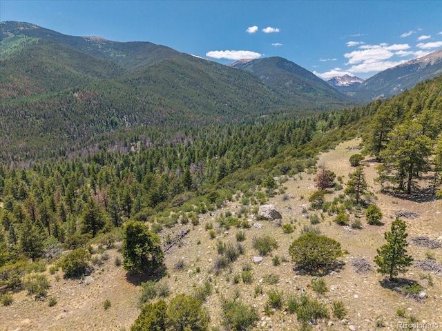 Mountaintop, Buena Vista, CO 81211