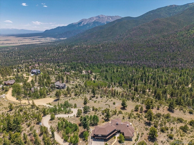 Mountaintop, Buena Vista, CO 81211