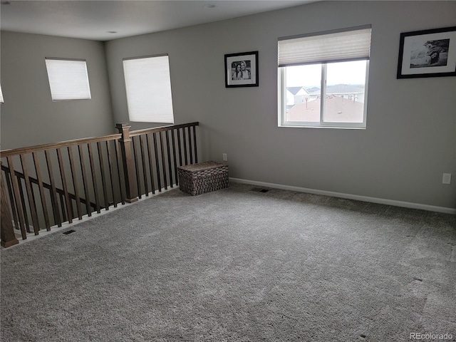 8029 Adams Fork Ave, Littleton, CO 80125 - photo 10