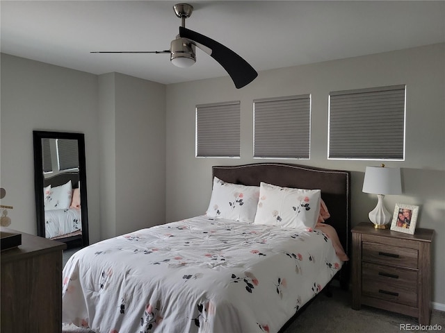 8029 Adams Fork Ave, Littleton, CO 80125 - photo 17