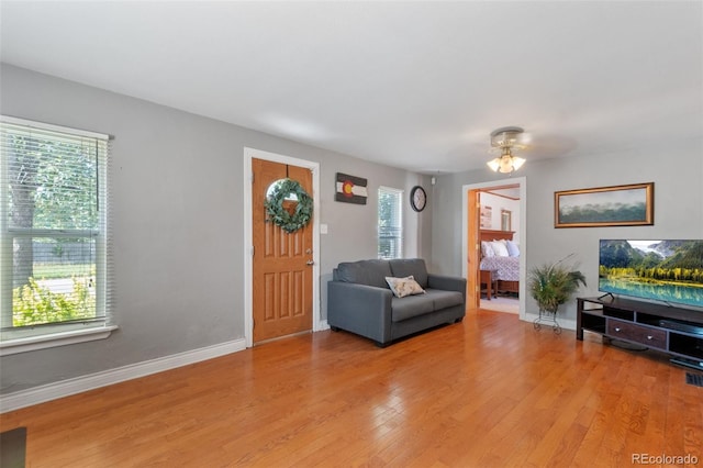 living room featuring light wood-type flooring, plenty of natural light, and ceiling fan