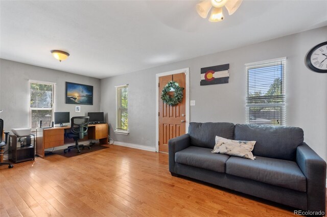 office space featuring light wood-type flooring, plenty of natural light, and ceiling fan