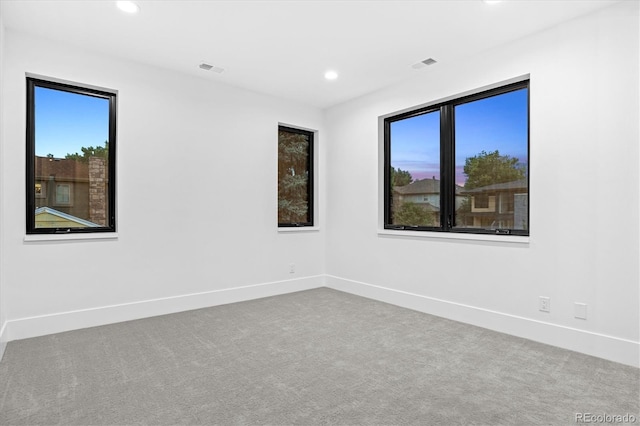 empty room featuring baseboards, a wealth of natural light, and carpet floors