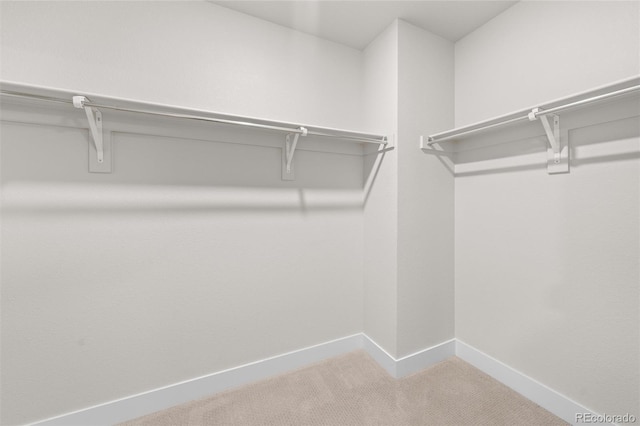 spacious closet with carpet floors