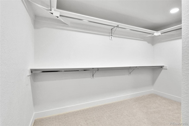 6716 W Rowland Ave, Littleton, CO 80128 - spacious closet with carpet